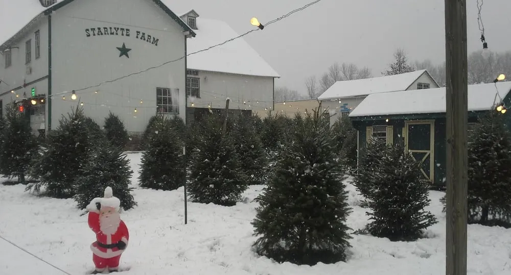 Custom yard maintenance experts serving Douglassville, PA - Starlyte Christmas Tree Farm