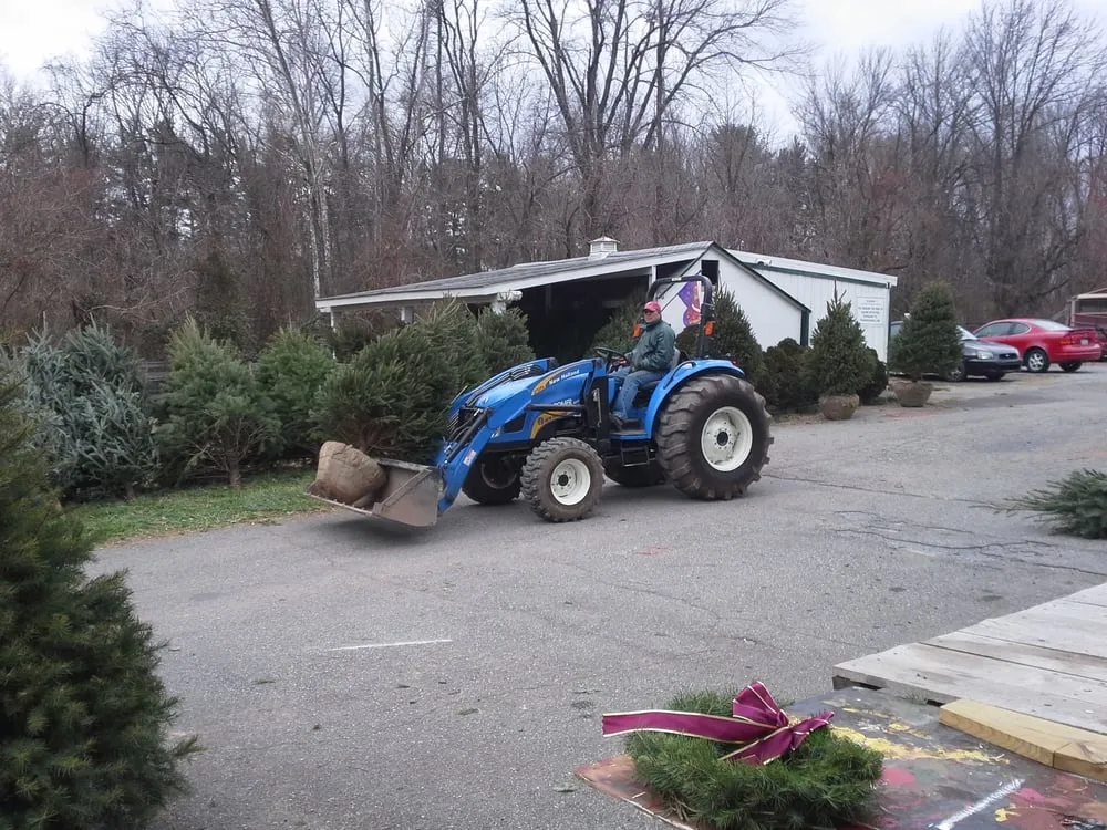 Custom residential landscaping in Douglassville, PA - Starlyte Christmas Tree Farm