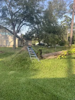 Starr Lawn Care Services Logo