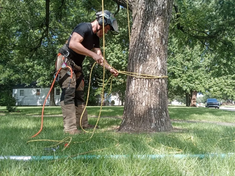 Expert landscape installation near you in McAlester, OK by Starr Tree Service