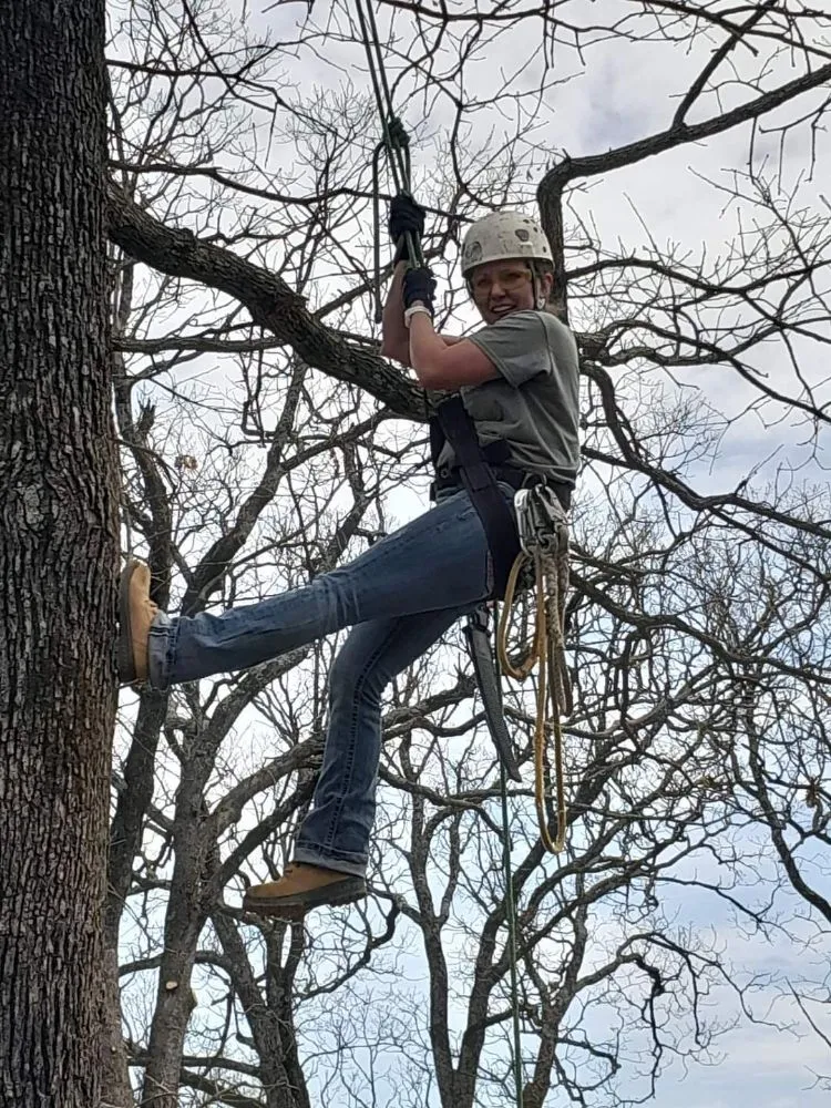 Professional residential landscaping experts serving McAlester, OK - Starr Tree Service