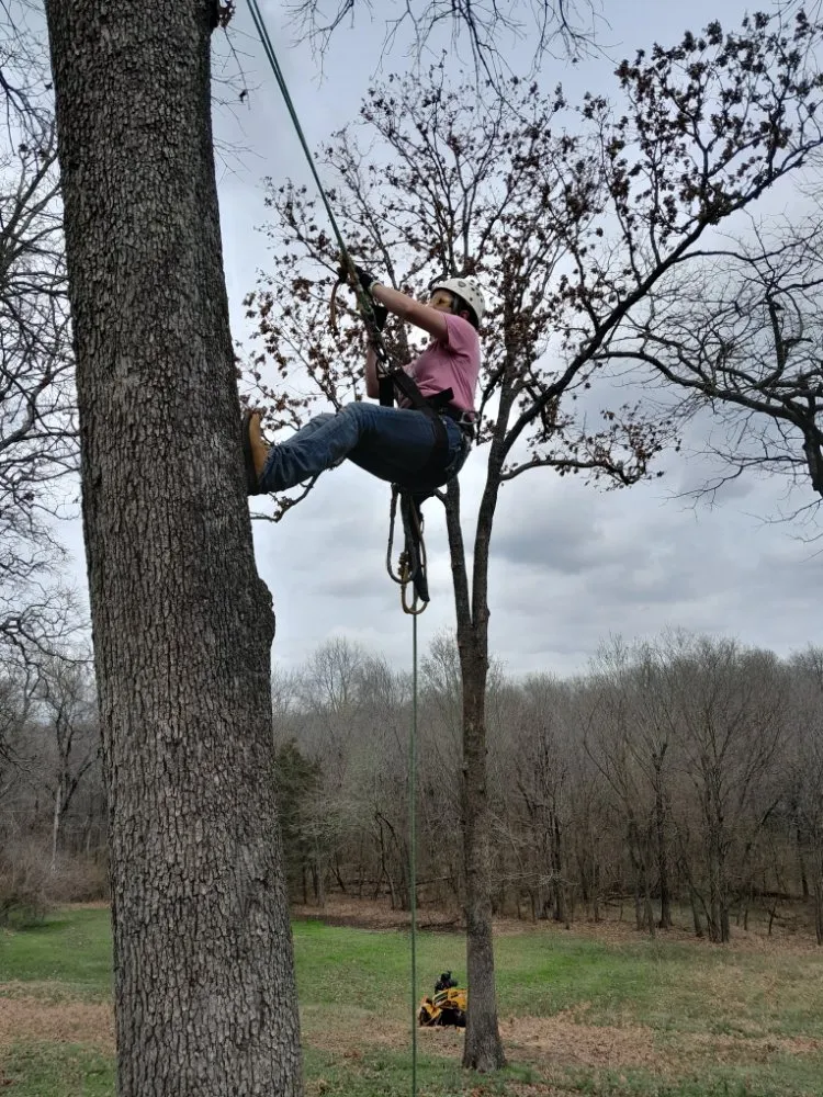 Custom lawn mowing service in McAlester, OK - Starr Tree Service