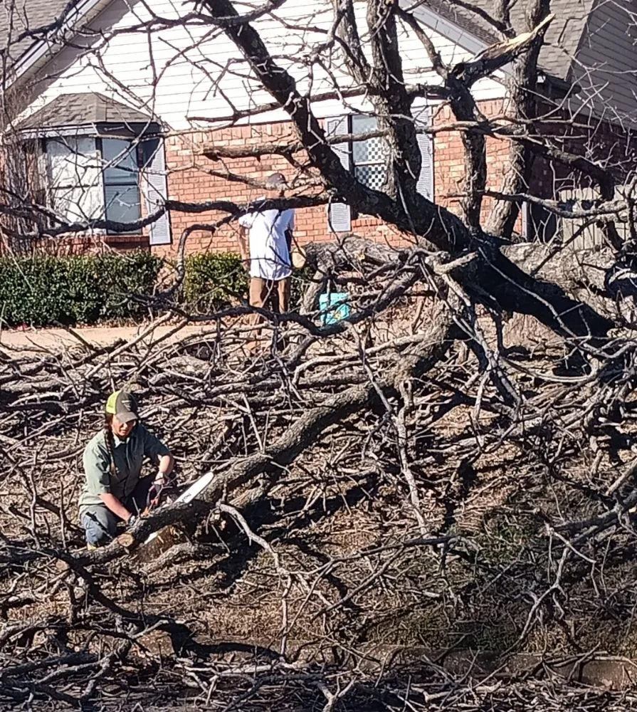 Top-rated residential landscaping for homes across McAlester, OK - Starr Tree Service