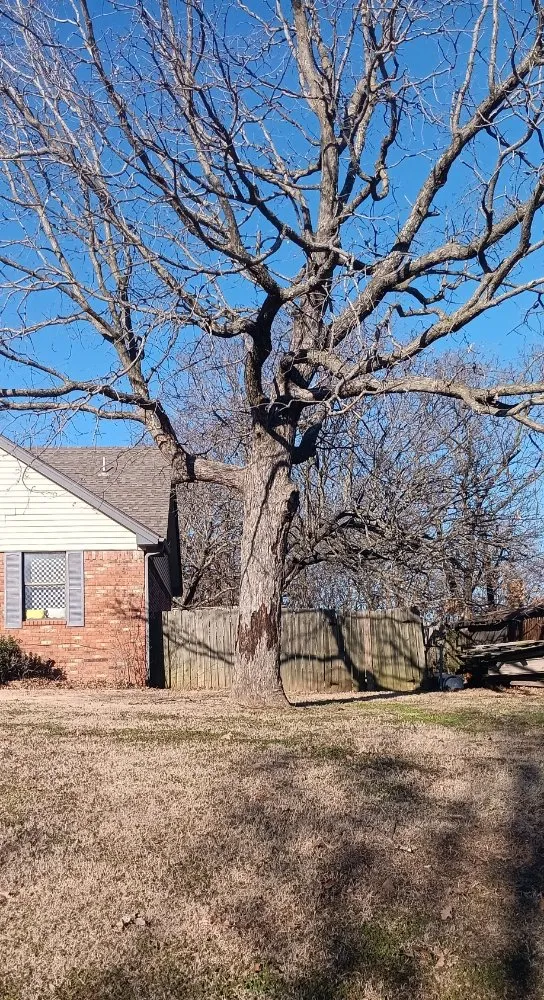 Affordable residential landscaping in McAlester, OK by Starr Tree Service