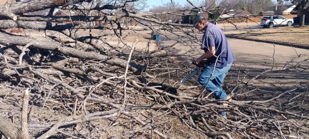 Professional outdoor landscaping in McAlester, OK - Starr Tree Service
