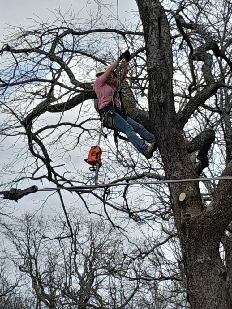 Custom landscape design for homes across McAlester, OK - Starr Tree Service