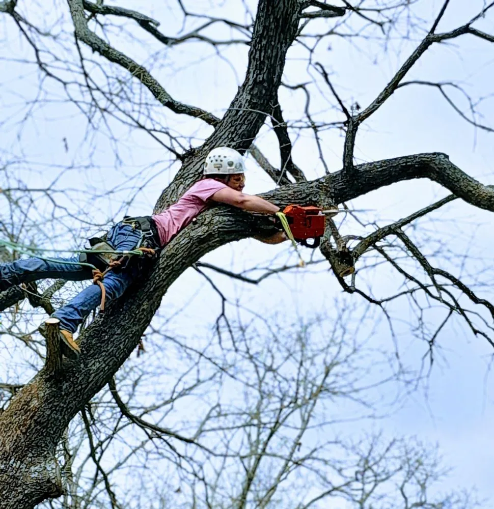 Trusted residential landscaping with custom design in McAlester, OK by Starr Tree Service