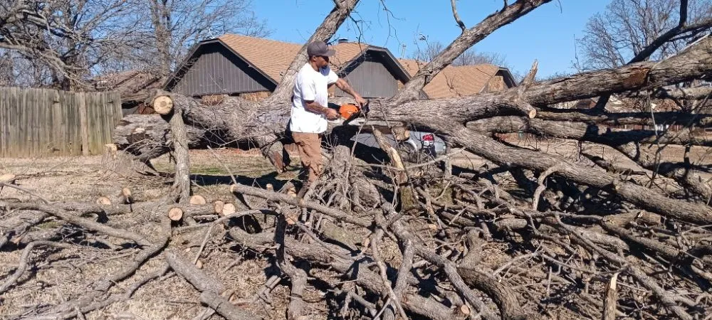 Local outdoor landscaping experts serving McAlester, OK - Starr Tree Service