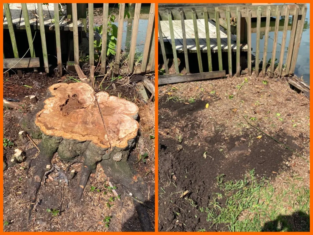 Local garden landscaping near you across Indian Harbour Beach, FL - Starrett Stump Grinding