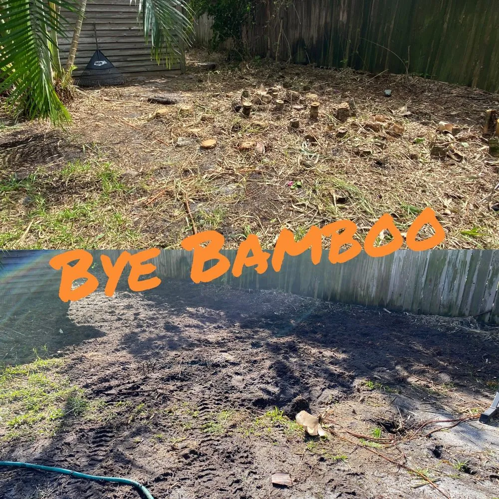 Expert yard cleanup service in Indian Harbour Beach, FL by Starrett Stump Grinding