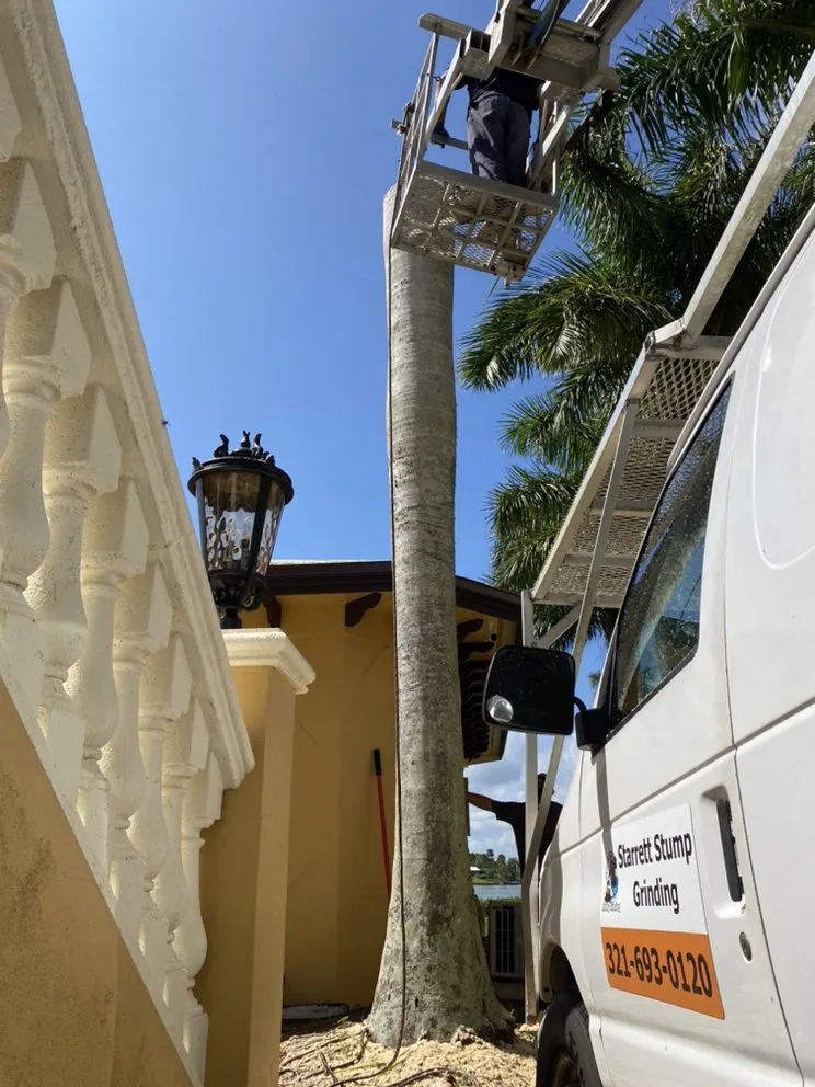 Top-rated outdoor landscaping experts serving Indian Harbour Beach, FL - Starrett Stump Grinding