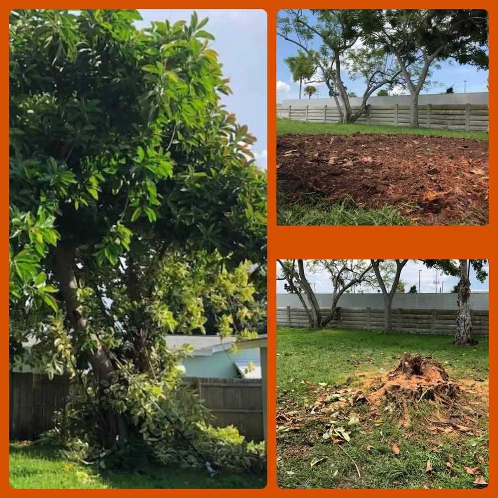 Top-rated lawn mowing service experts serving Indian Harbour Beach, FL - Starrett Stump Grinding