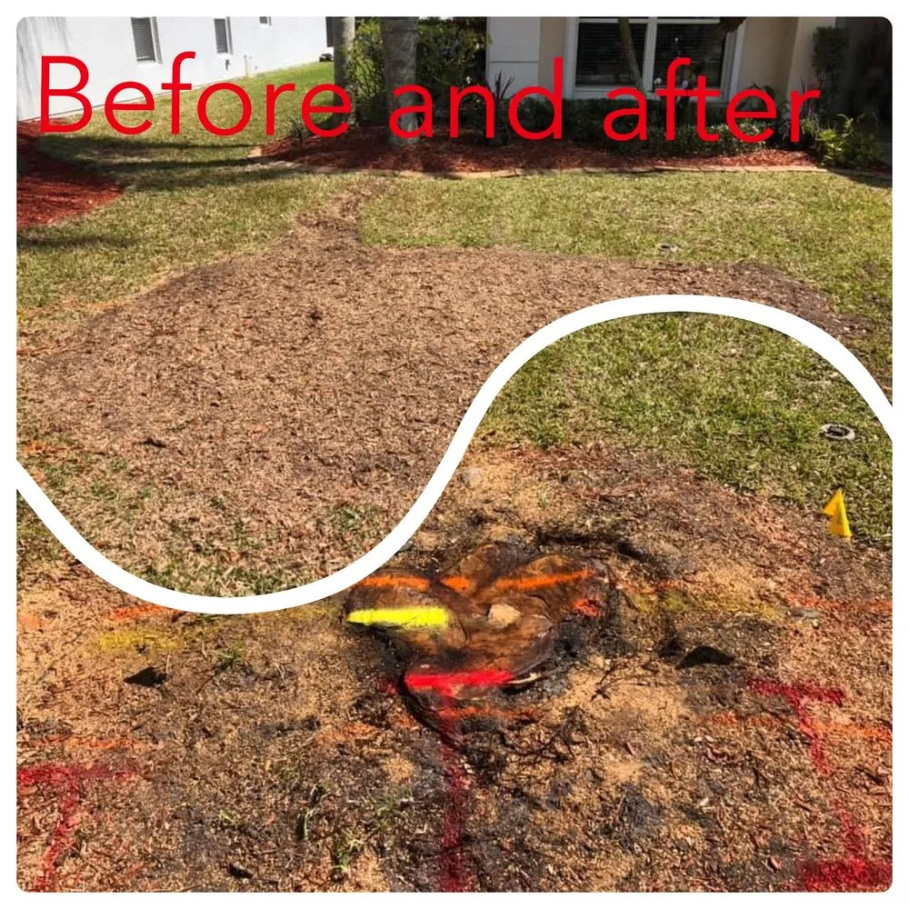 Reliable lawn mowing service experts serving Indian Harbour Beach, FL - Starrett Stump Grinding