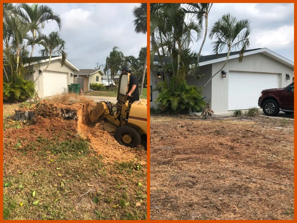 Top-rated residential landscaping in Indian Harbour Beach, FL - Starrett Stump Grinding
