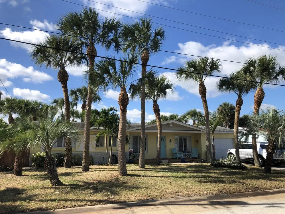 Reliable lawn care service in Indian Harbour Beach, FL - Starrett Stump Grinding