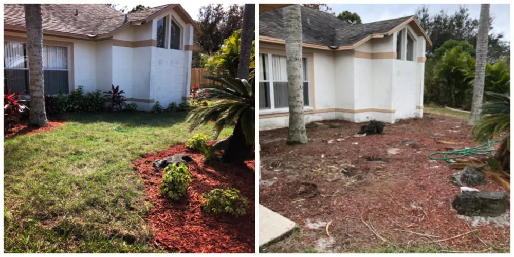 Trusted landscape design in Indian Harbour Beach, FL - Starrett Stump Grinding