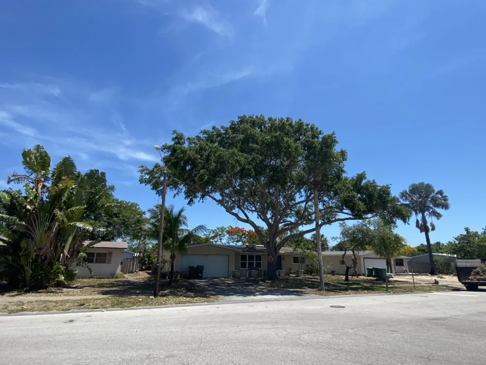 Expert landscape installation for year-round maintenance across Indian Harbour Beach, FL - Starrett Stump Grinding