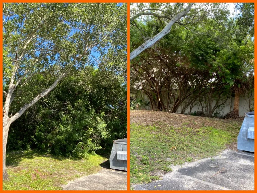 Professional lawn mowing service experts serving Indian Harbour Beach, FL - Starrett Stump Grinding