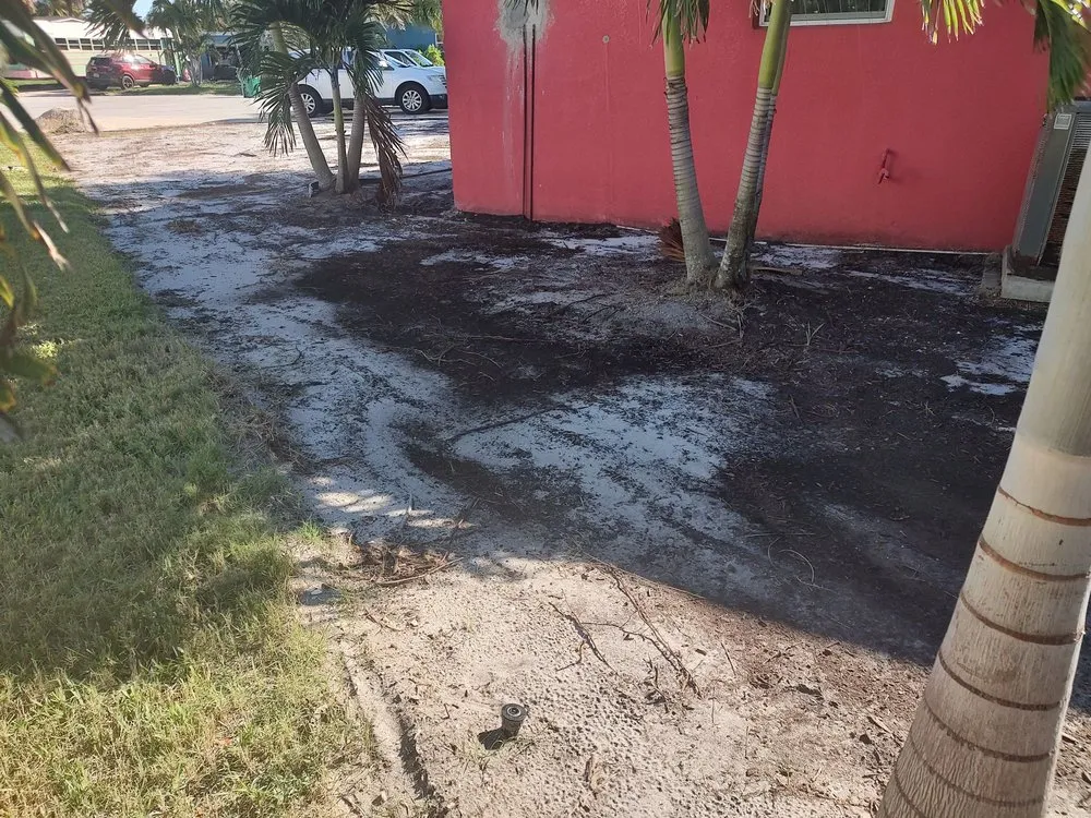 Affordable yard cleanup service for outdoor upgrades across Indian Harbour Beach, FL - Starrett Stump Grinding