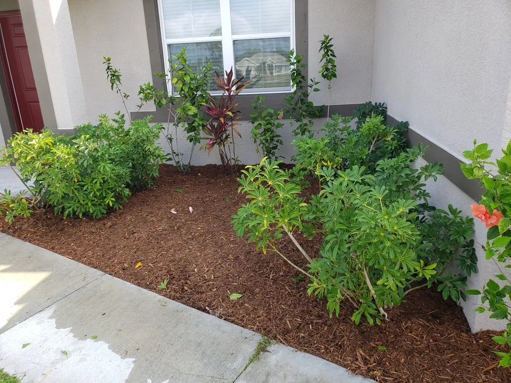 Custom landscaping services experts serving Cape Coral, FL - Stars & Stripes Landscape Services