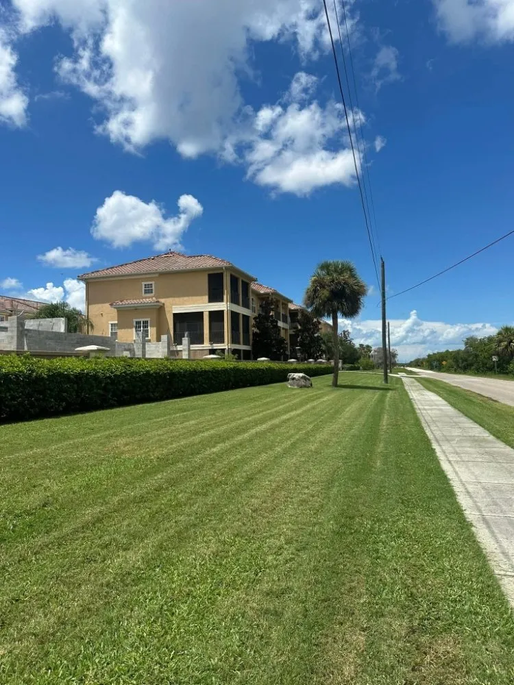 Affordable garden landscaping near you in St. Petersburg, FL by Stars & Stripes Landscaping