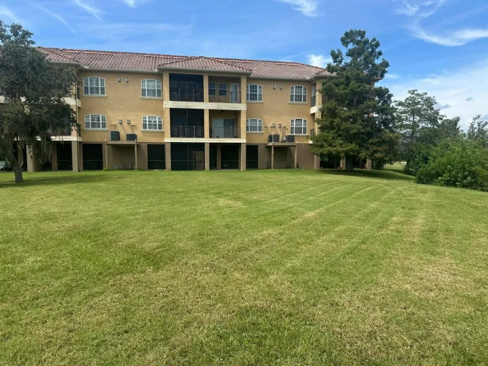 Custom yard cleanup service in St. Petersburg, FL by Stars & Stripes Landscaping