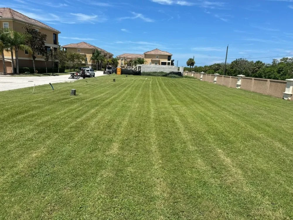 Affordable landscape design in St. Petersburg, FL by Stars & Stripes Landscaping