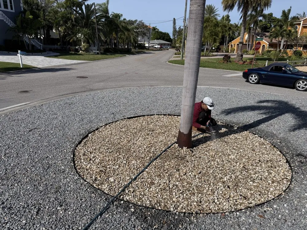 Reliable residential landscaping experts serving St. Petersburg, FL - Stars & Stripes Landscaping