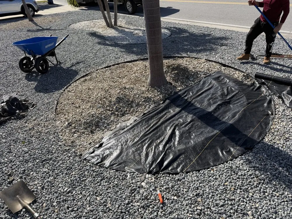 Affordable yard cleanup service experts serving St. Petersburg, FL - Stars & Stripes Landscaping