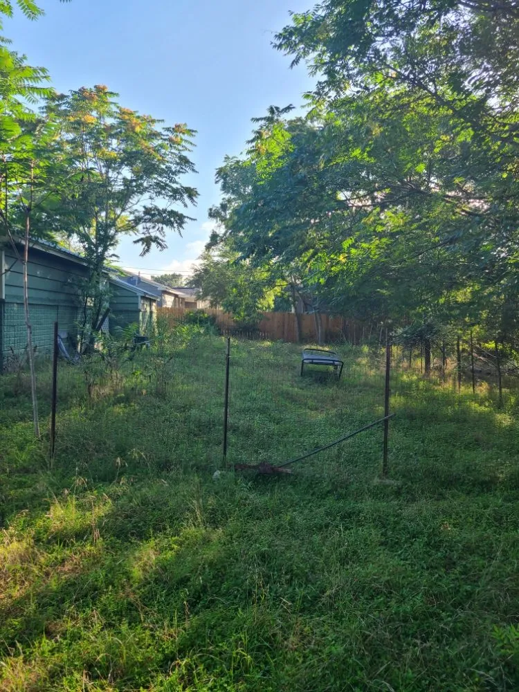 Top-rated landscape design in Wimberley, TX - Stars & Stripes Landscaping