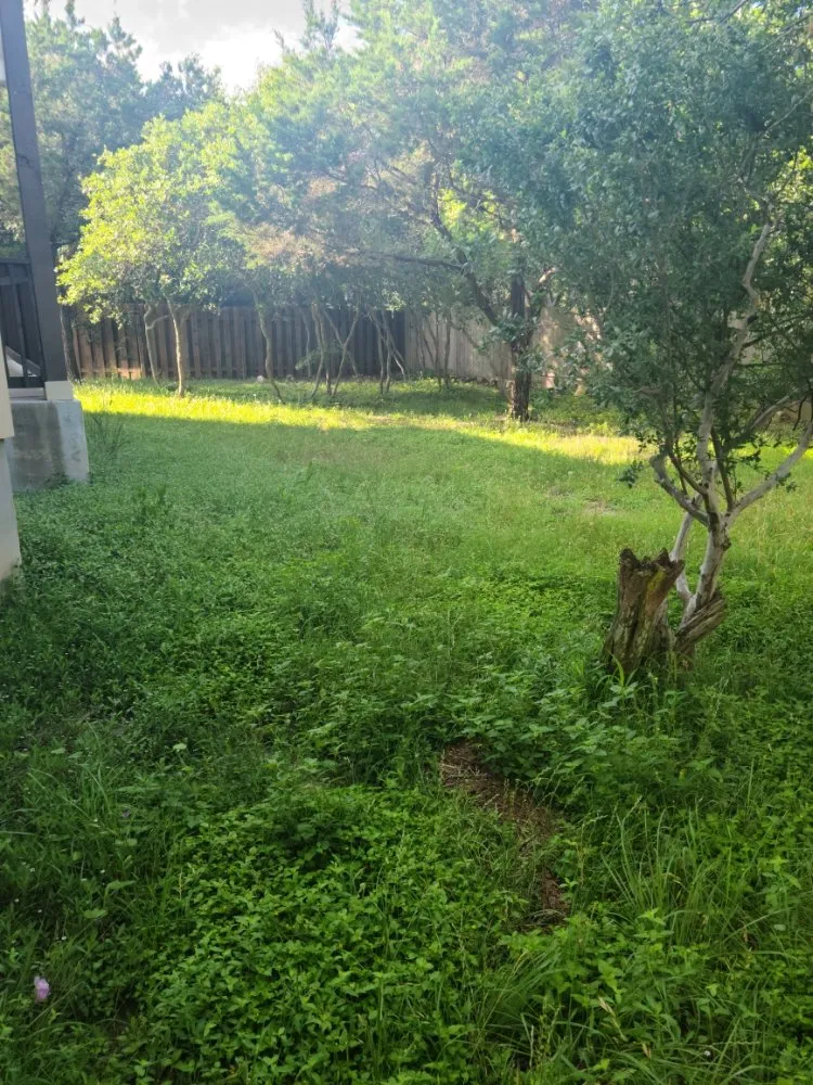 Affordable landscape installation for year-round maintenance in Wimberley, TX by Stars & Stripes Landscaping