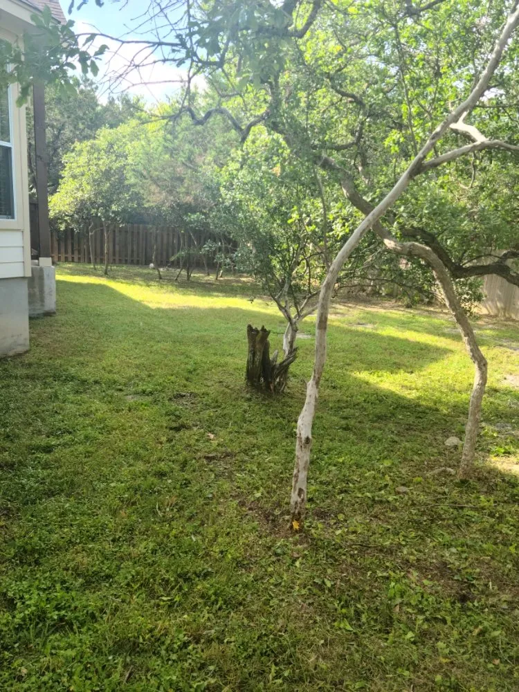 Expert landscaping services in Wimberley, TX - Stars & Stripes Landscaping