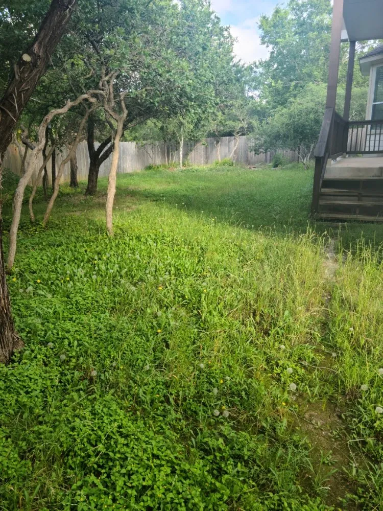 Custom landscape design experts serving Wimberley, TX - Stars & Stripes Landscaping