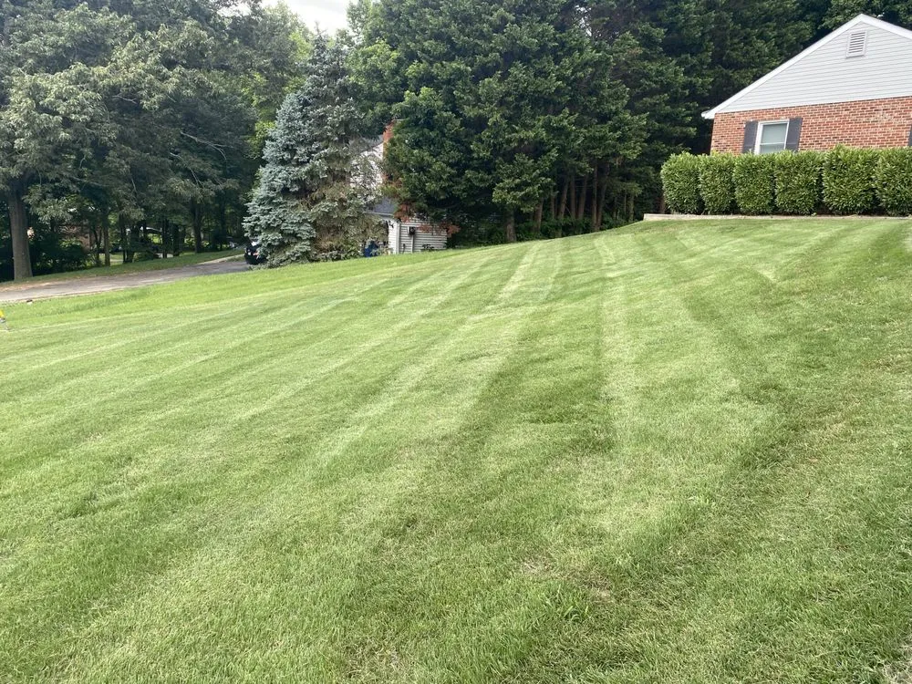 Trusted outdoor landscaping in White Plains, MD by Stars & Stripes Lawn Care and Junk Removal