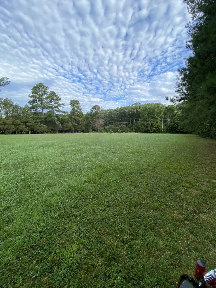 Affordable landscape design experts serving White Plains, MD - Stars & Stripes Lawn Care and Junk Removal
