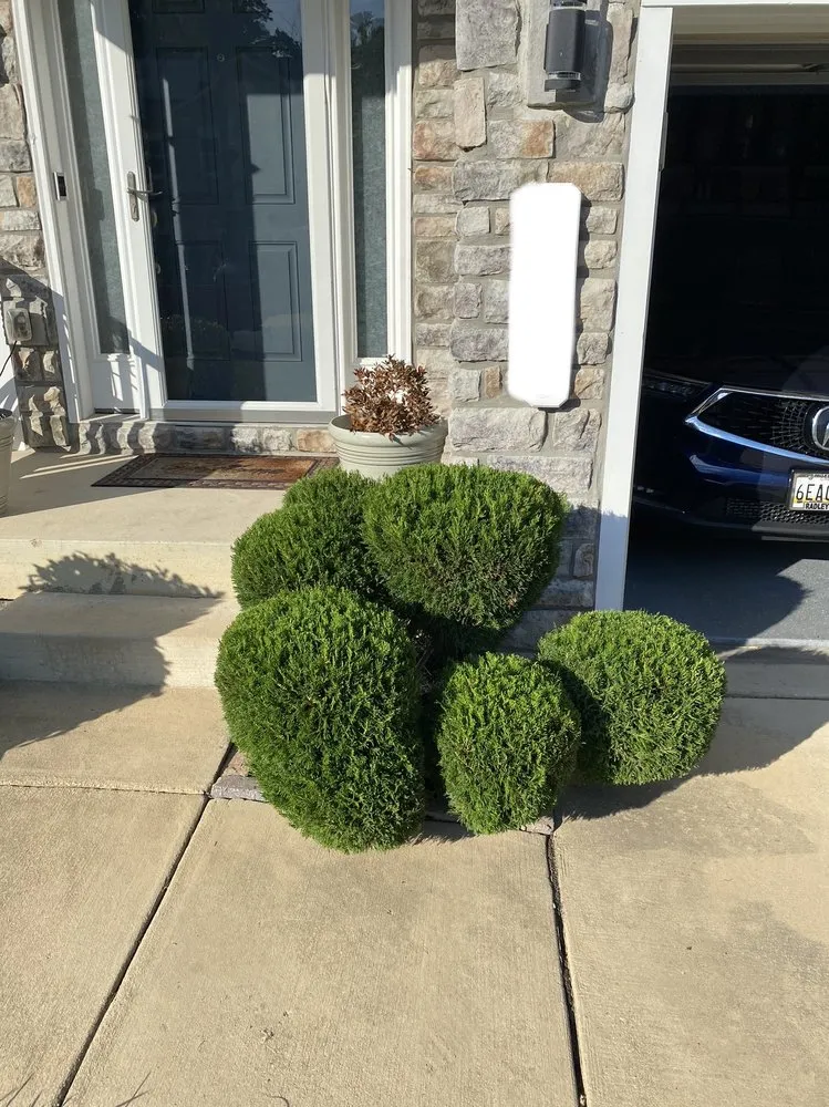 Reliable outdoor landscaping near you across White Plains, MD - Stars & Stripes Lawn Care and Junk Removal
