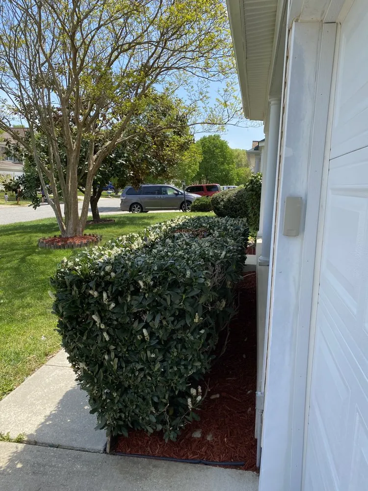 Top-rated lawn mowing service in White Plains, MD by Stars & Stripes Lawn Care and Junk Removal