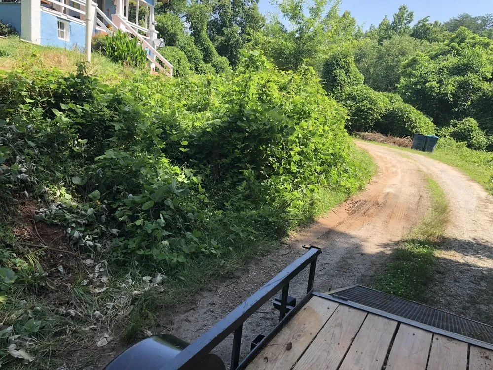 Local landscape installation experts serving Morganton, NC - Stars & Stripes Lawn Care