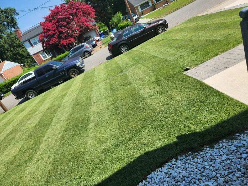 Trusted yard maintenance in Newport News, VA - Stars & Stripes Lawn Care Services