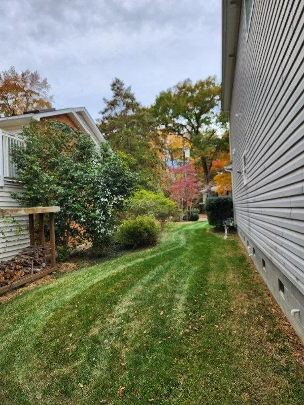 Top-rated yard cleanup service in Newport News, VA - Stars & Stripes Lawn Care Services