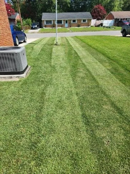 Professional yard maintenance experts serving Newport News, VA - Stars & Stripes Lawn Care Services
