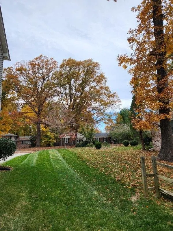 Professional landscape design near you in Newport News, VA by Stars & Stripes Lawn Care Services