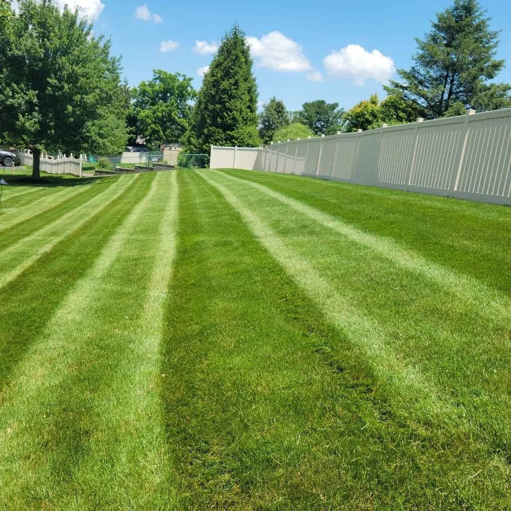 Expert yard maintenance for homes across New Freedom, PA - Stars & Stripes Lawn Services