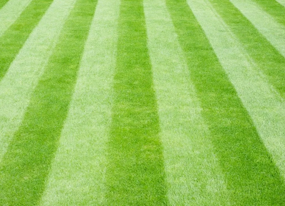 Expert landscape installation experts serving Eaton, CO - Stars And Stripes