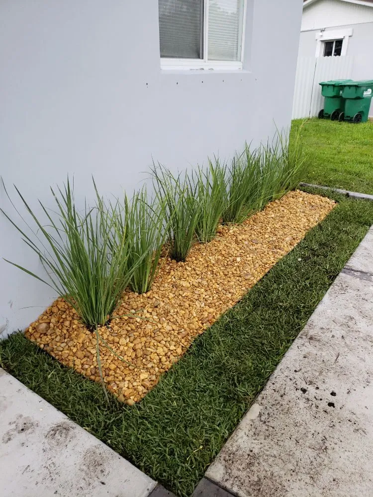 Local landscape design experts serving Miami, FL - Stars and Stripes Landscaping