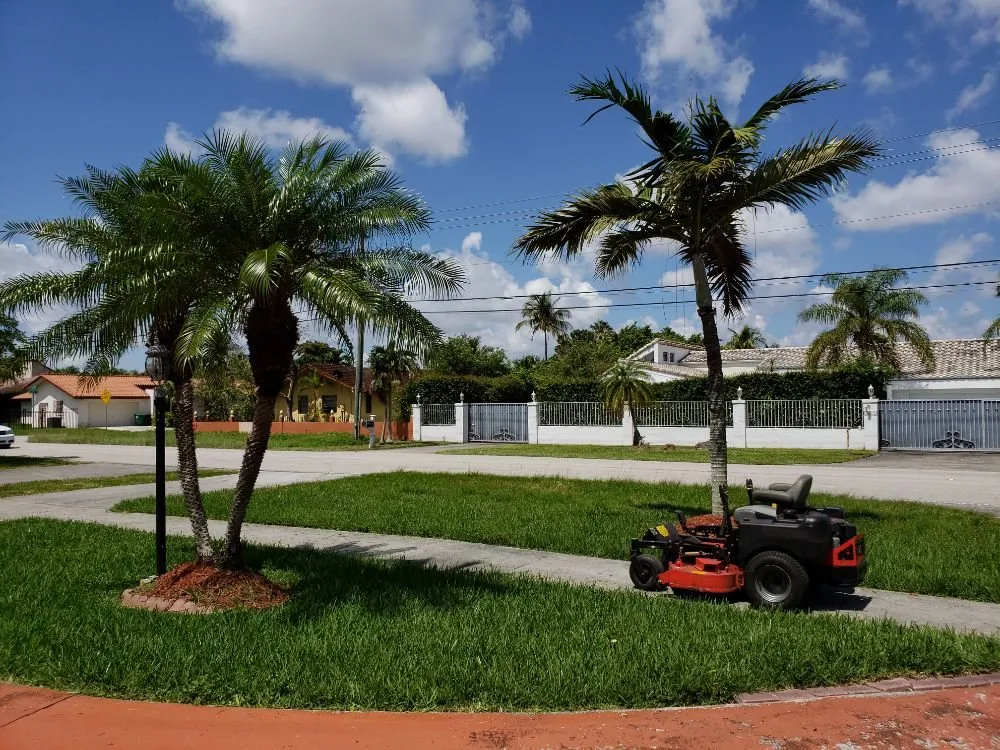 Affordable garden landscaping in Miami, FL by Stars and Stripes Landscaping