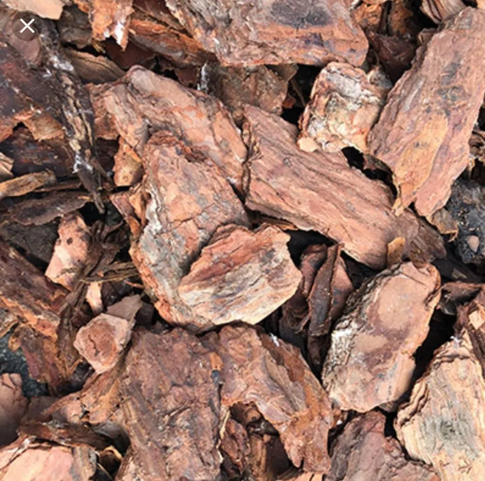 Affordable outdoor landscaping for homes in Miami, FL by Stars and Stripes Landscaping