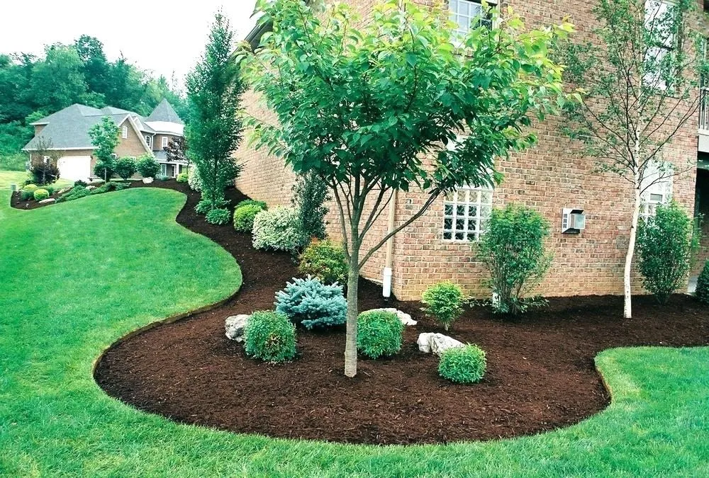 Custom yard cleanup service for beautiful yards in Chesapeake, VA by Stars and Stripes Lawncare