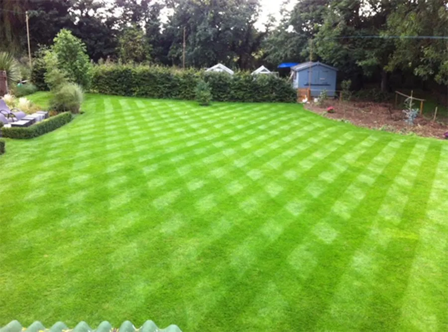 Custom landscaping services in Chesapeake, VA by Stars and Stripes Lawncare