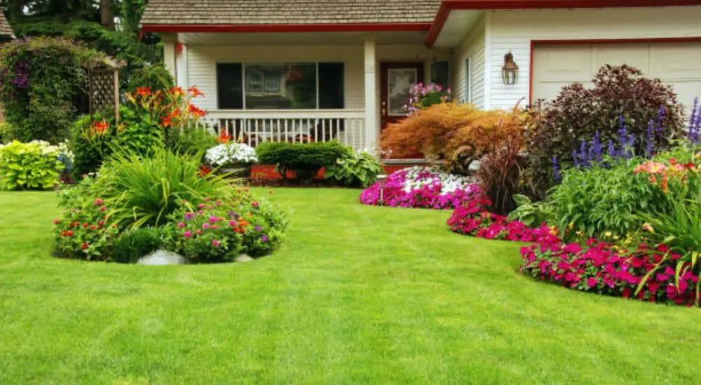 Expert lawn care service near you across Saint Paul, MN - Star's Family lawn care and Snow Removal and House Cleaning